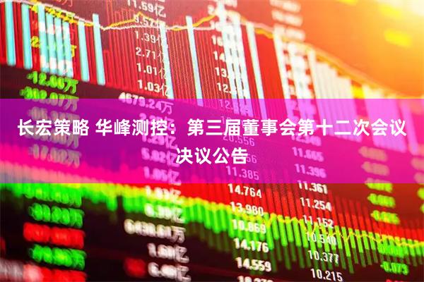 长宏策略 华峰测控：第三届董事会第十二次会议决议公告