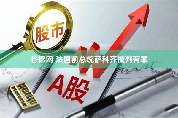 谷锦网 法国前总统萨科齐被判有罪
