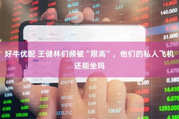 好牛优配 王健林们频被“限高”，他们的私人飞机还能坐吗