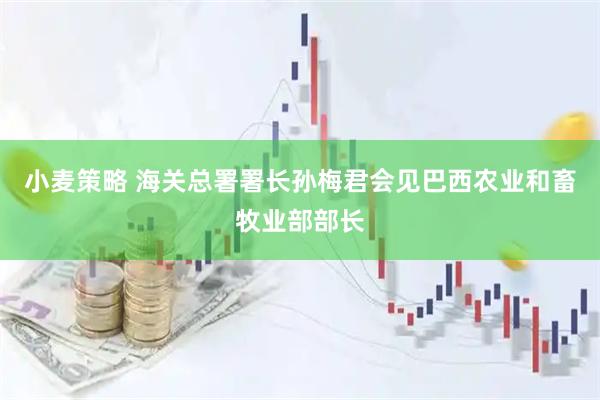 小麦策略 海关总署署长孙梅君会见巴西农业和畜牧业部部长