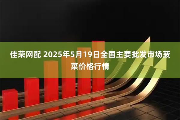 佳荣网配 2025年5月19日全国主要批发市场菠菜价格行情