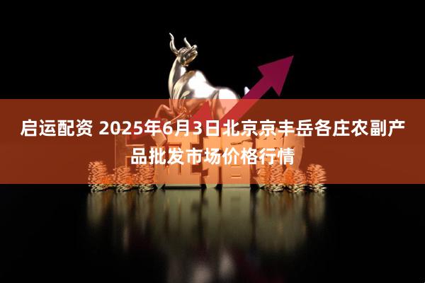 启运配资 2025年6月3日北京京丰岳各庄农副产品批发市场价格行情