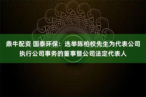 鼎牛配资 国泰环保：选举陈柏校先生为代表公司执行公司事务的董事暨公司法定代表人