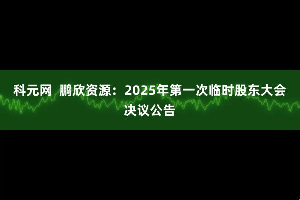 科元网  鹏欣资源：2025年第一次临时股东大会决议公告