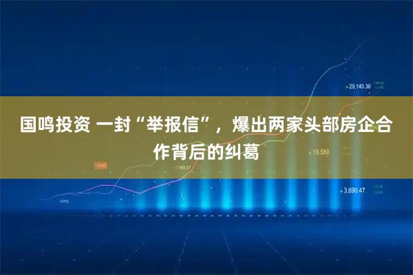 国鸣投资 一封“举报信”，爆出两家头部房企合作背后的纠葛