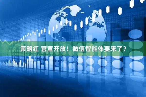 策略红 官宣开放！微信智能体要来了？