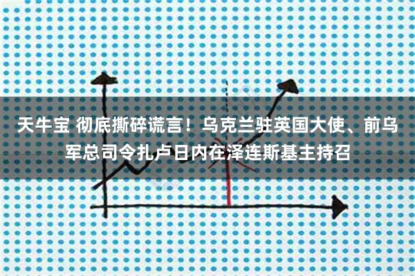 天牛宝 彻底撕碎谎言！乌克兰驻英国大使、前乌军总司令扎卢日内在泽连斯基主持召